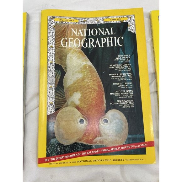 Vintage Nat Geo Jan–Jun 1973 Slipcover Set | Illustrated, Travel, Rare - Picture 12 of 16